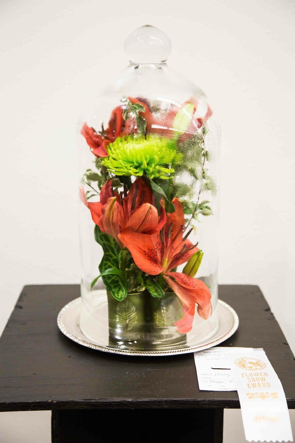 arkansas flower and garden show