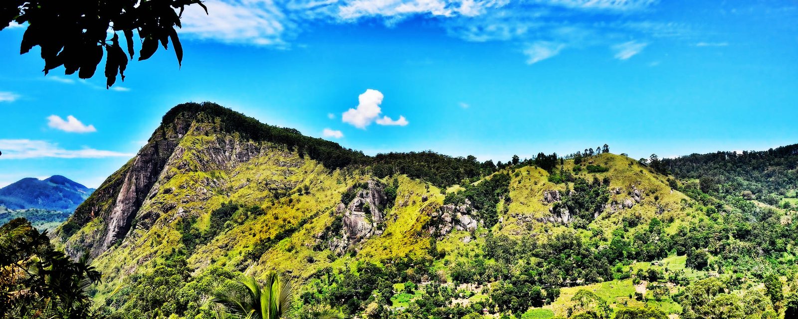 ella flower garden resorts