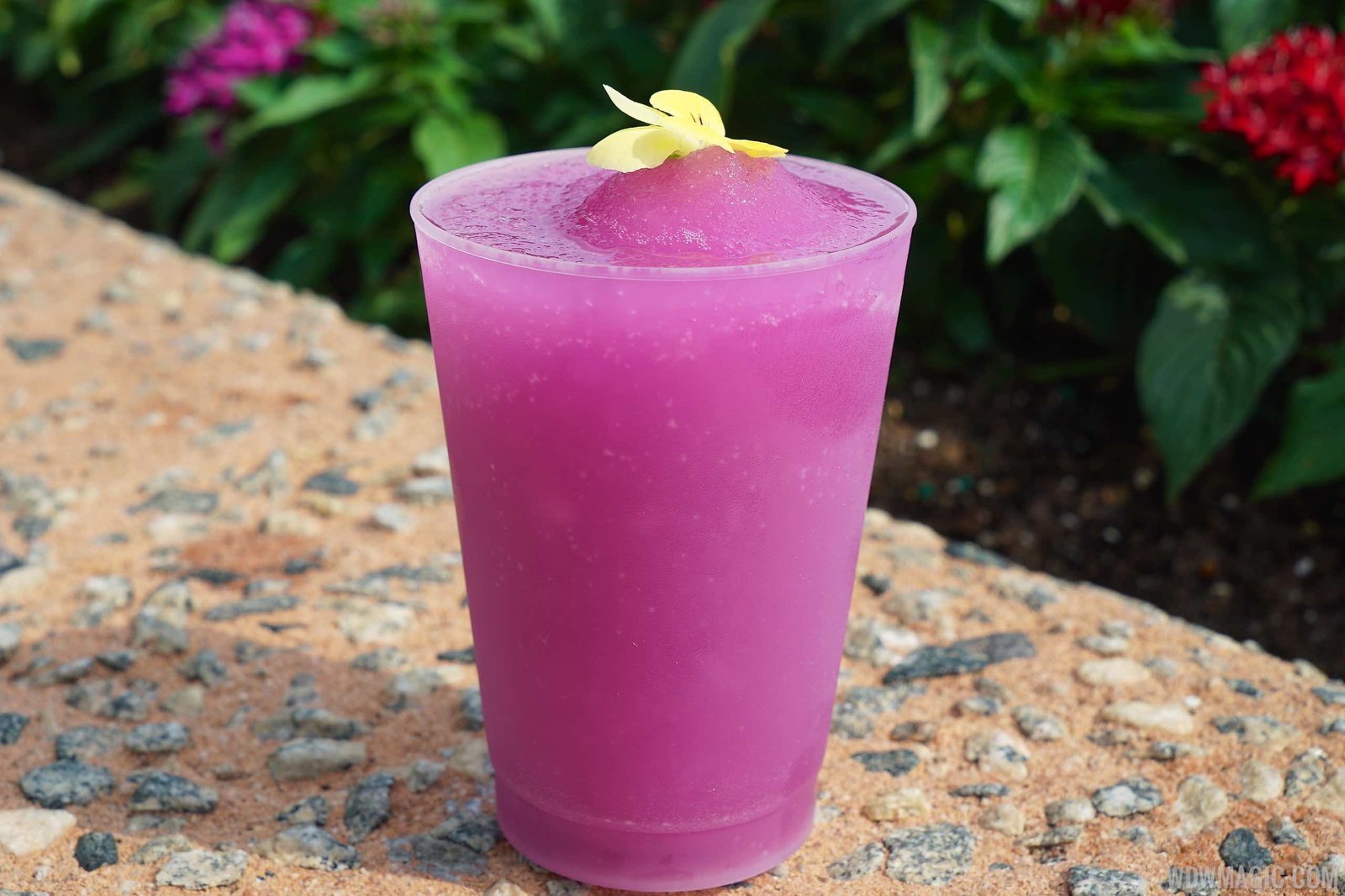 2015 epcot flower and garden festival outdoor kitchen kiosks food