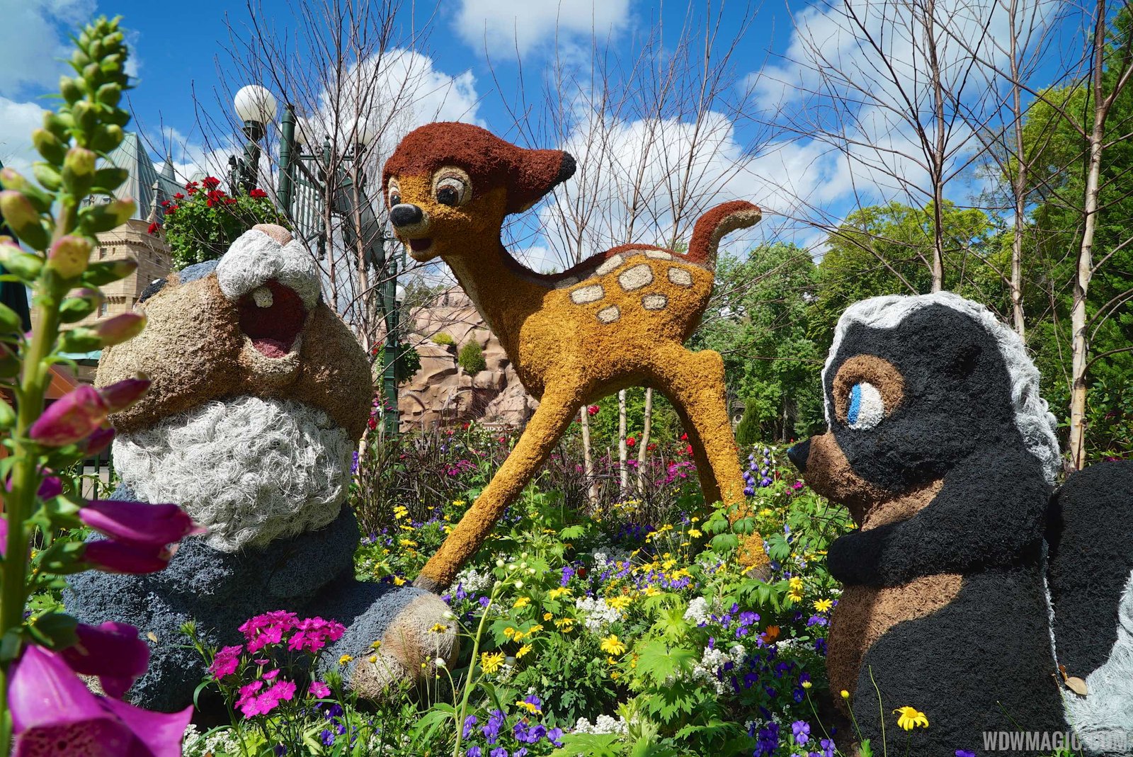 epcot international flower and garden festival