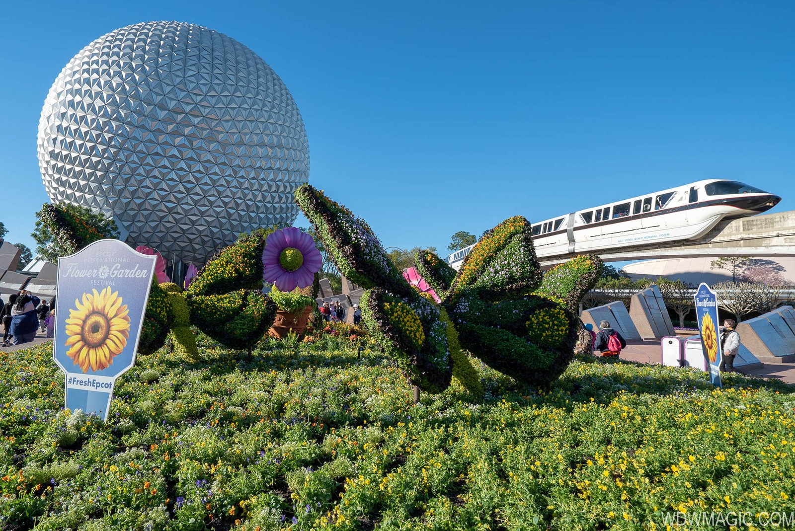 photos - tour the 2019 epcot international flower and garden festival