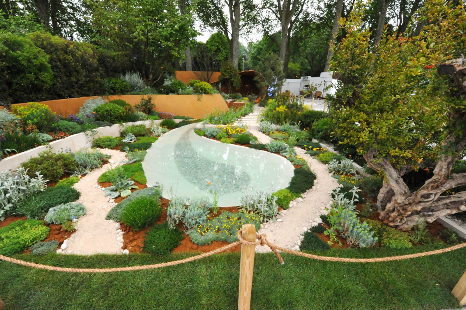 chelsea flower show 2019: all the medal winners - country life