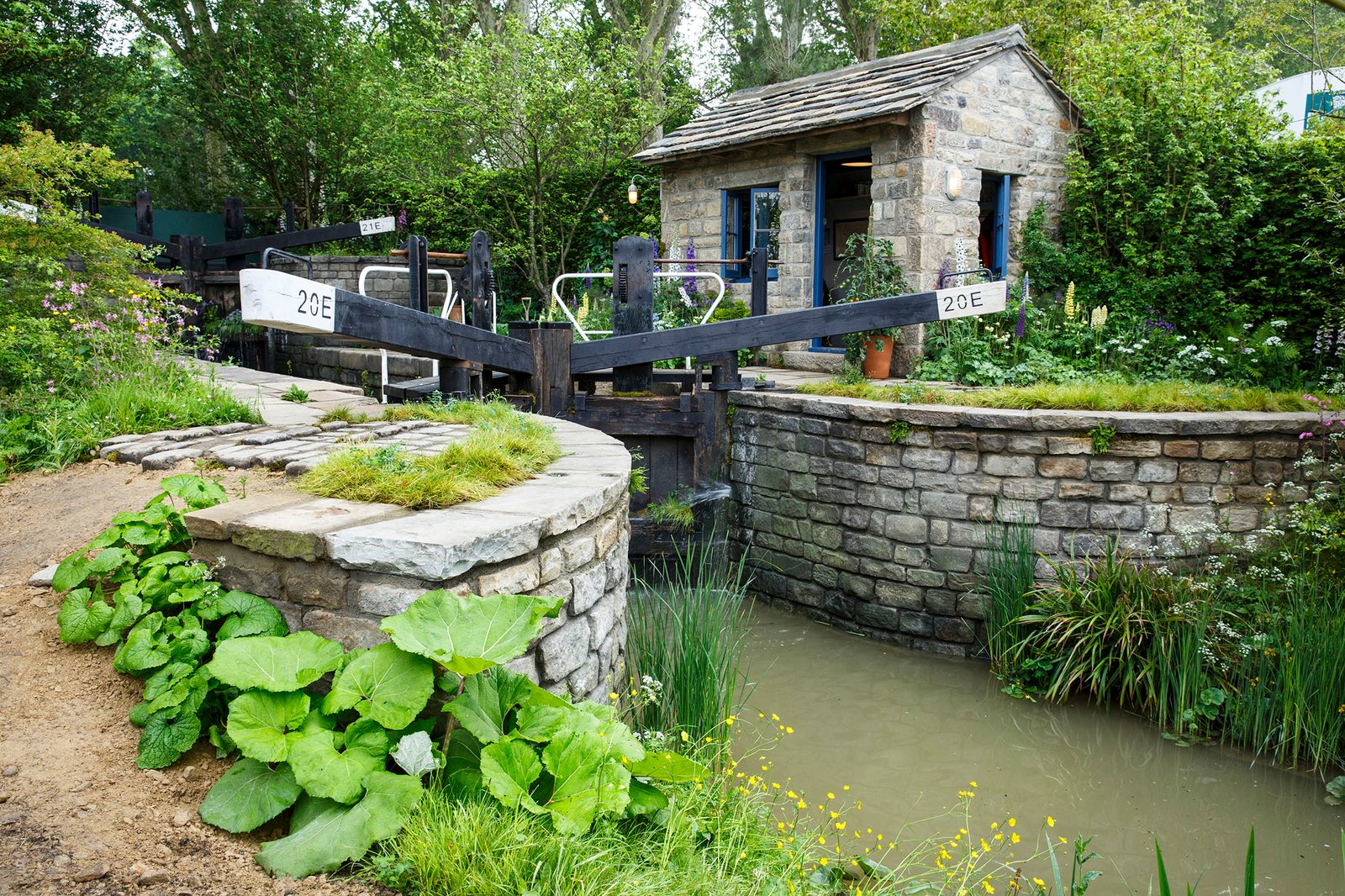 chelsea flower show 2019: all the medal winners - country life