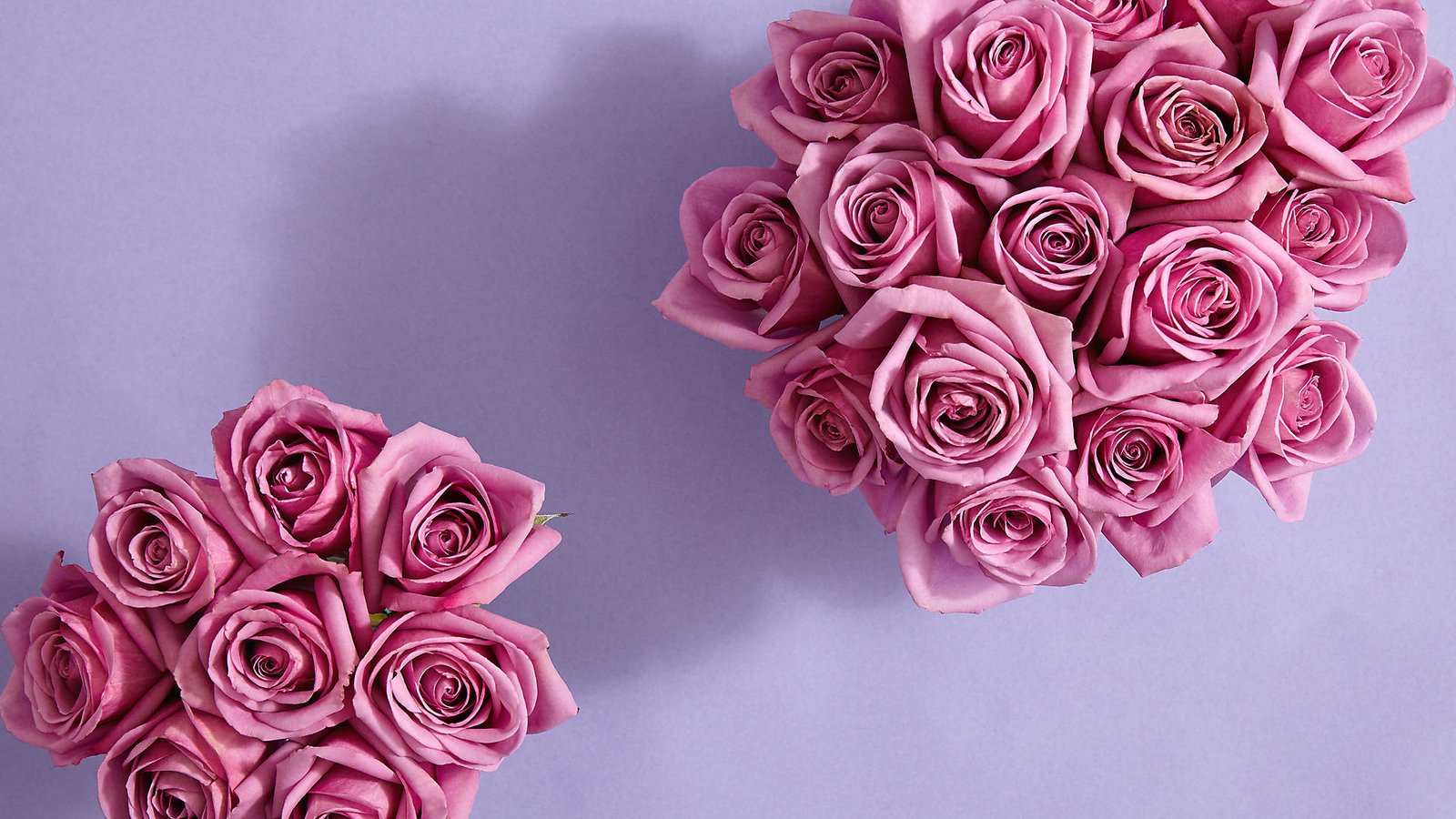 proflowers
