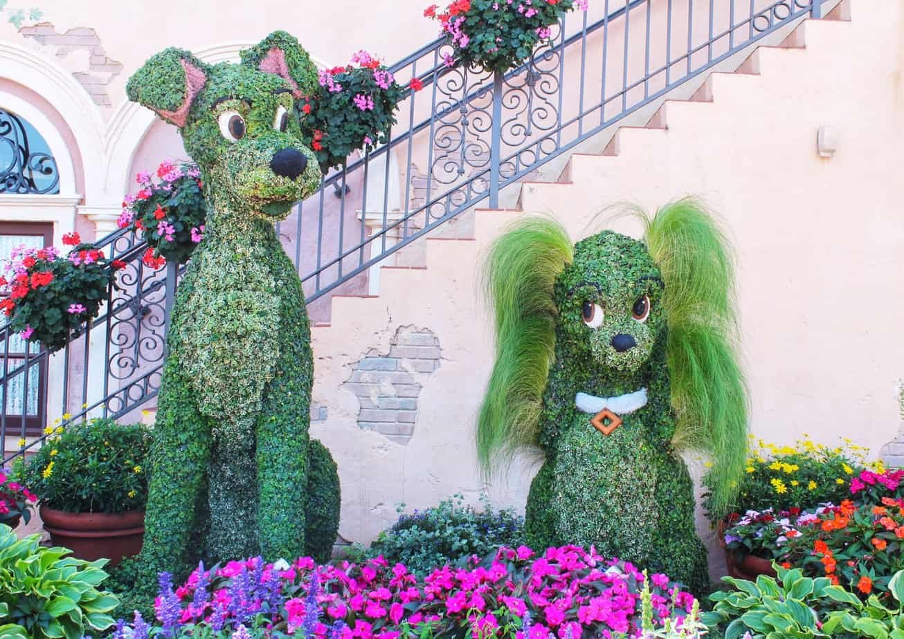 four things you must do at flower and garden festival | kait around
