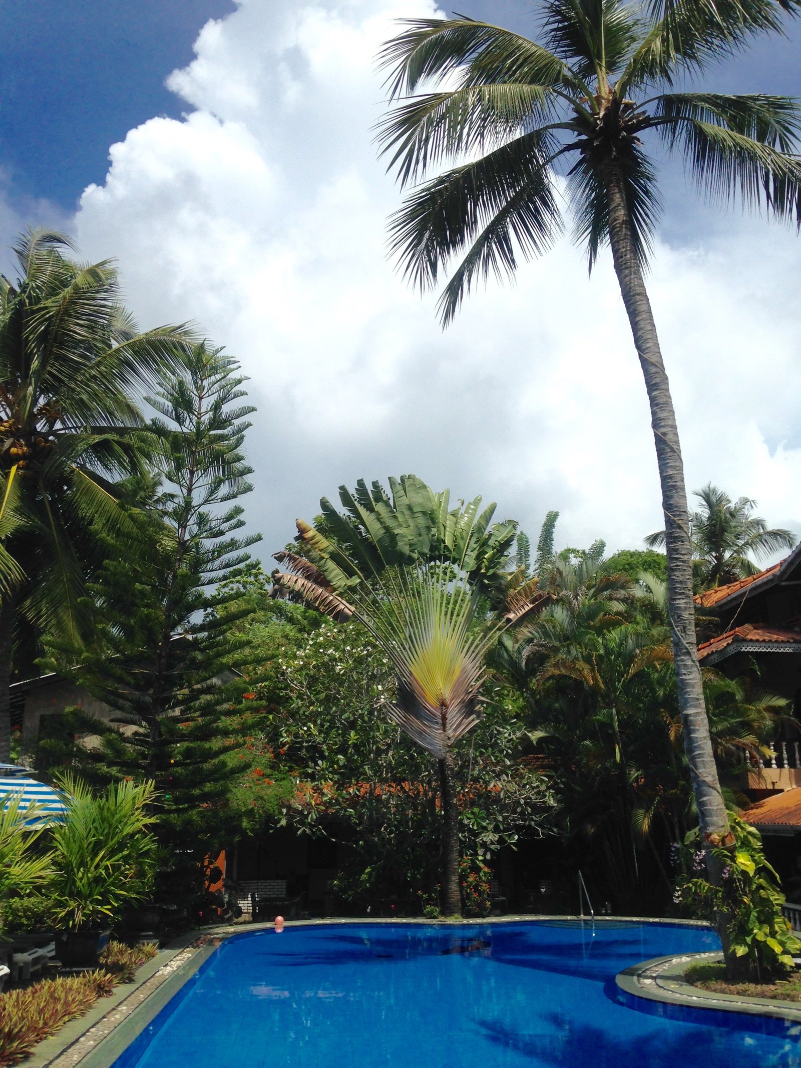 sri lanka reise - exotische trauminsel im indischen ozean