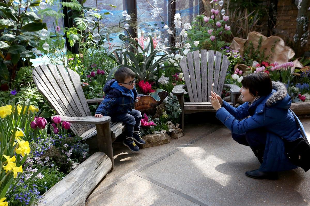 photos: olbrich botanical garden's spring flower show | local news