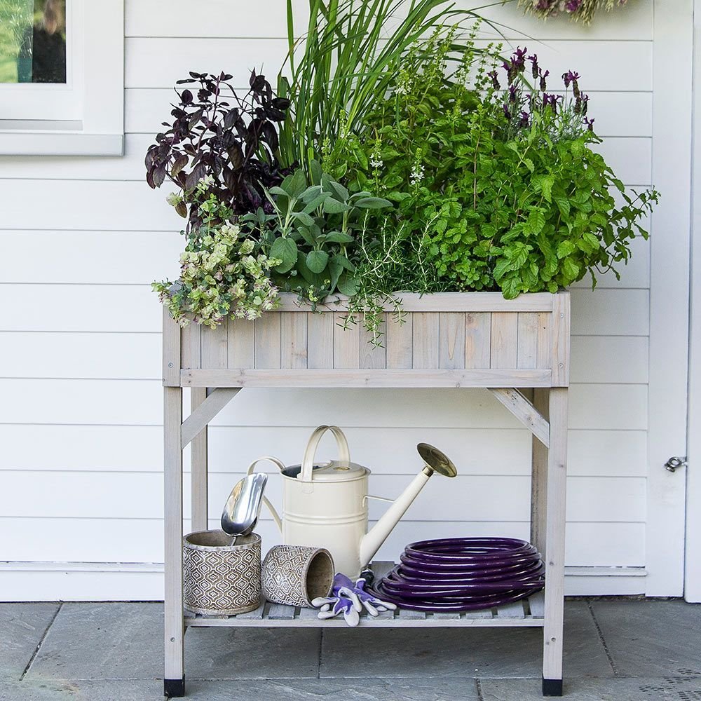 raised beds | white flower farm