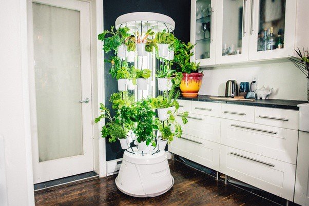 Introducing Nutritower 2 — Advanced Hydroponic Indoor ...