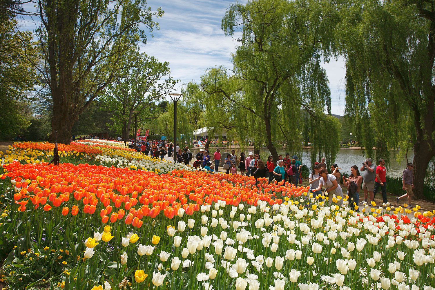 the must-see flower festivals in australia | better homes and gardens