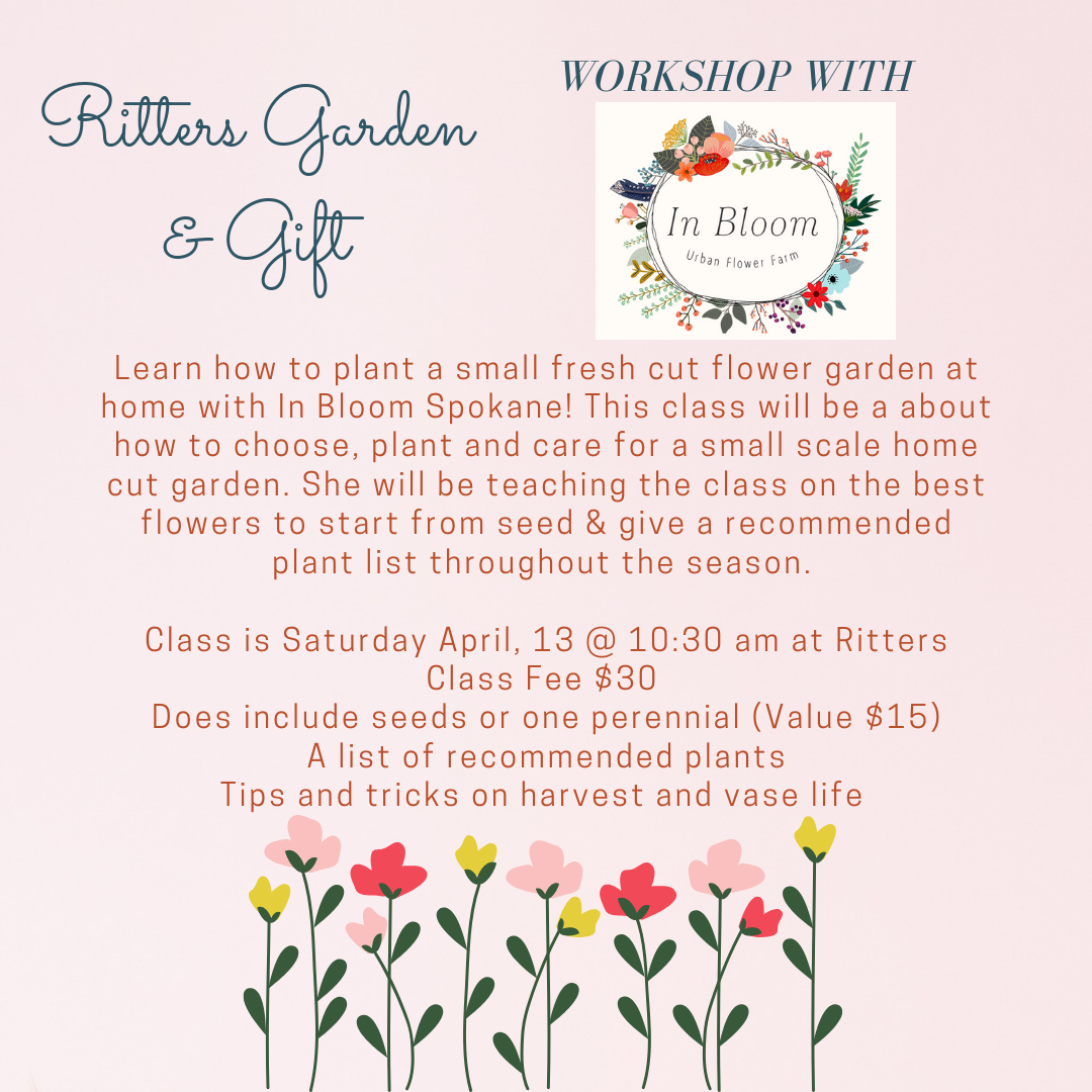fresh cut flower garden with in bloom