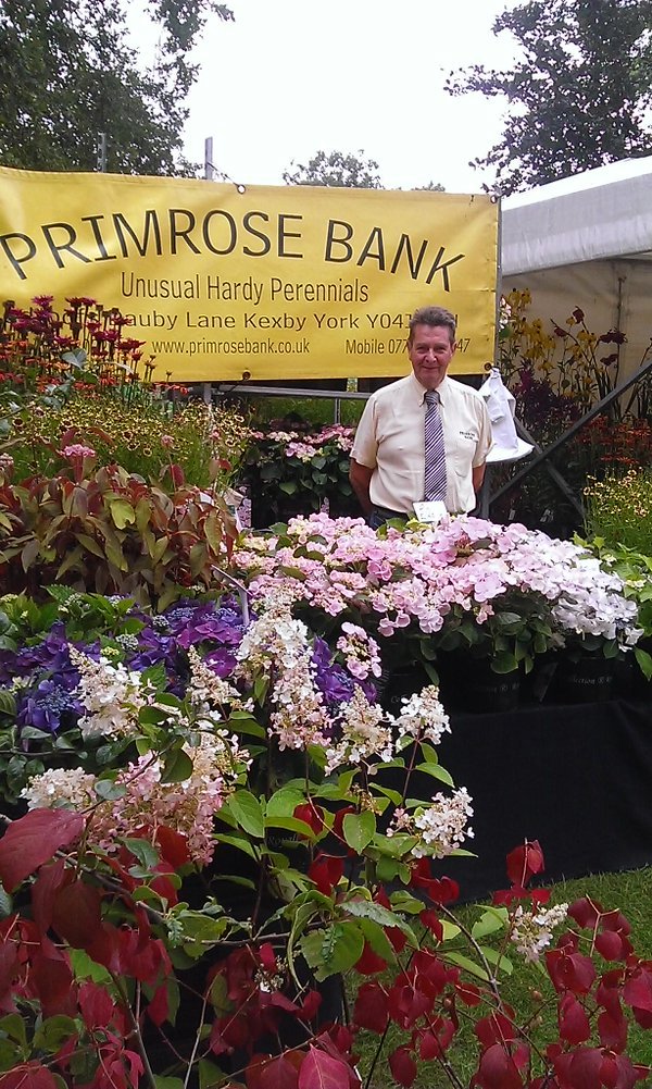 rhs garden wisley on twitter: "wisley flower show open until sunday