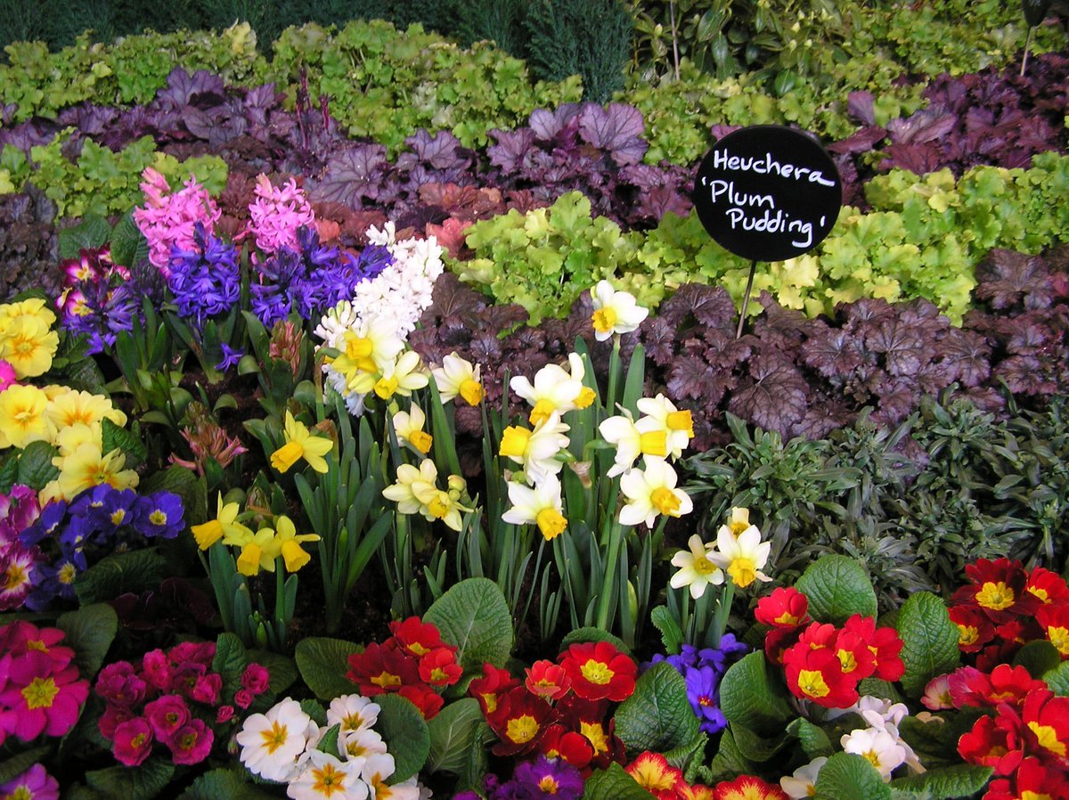 northwest flower & garden festival; feb 26-mar 1 (@nwfgs) | twitter