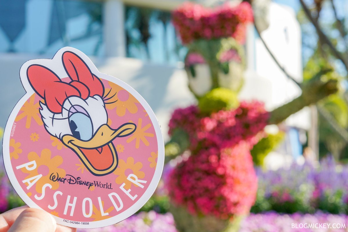 blogmickey on twitter: "daisy has made her annual passholder