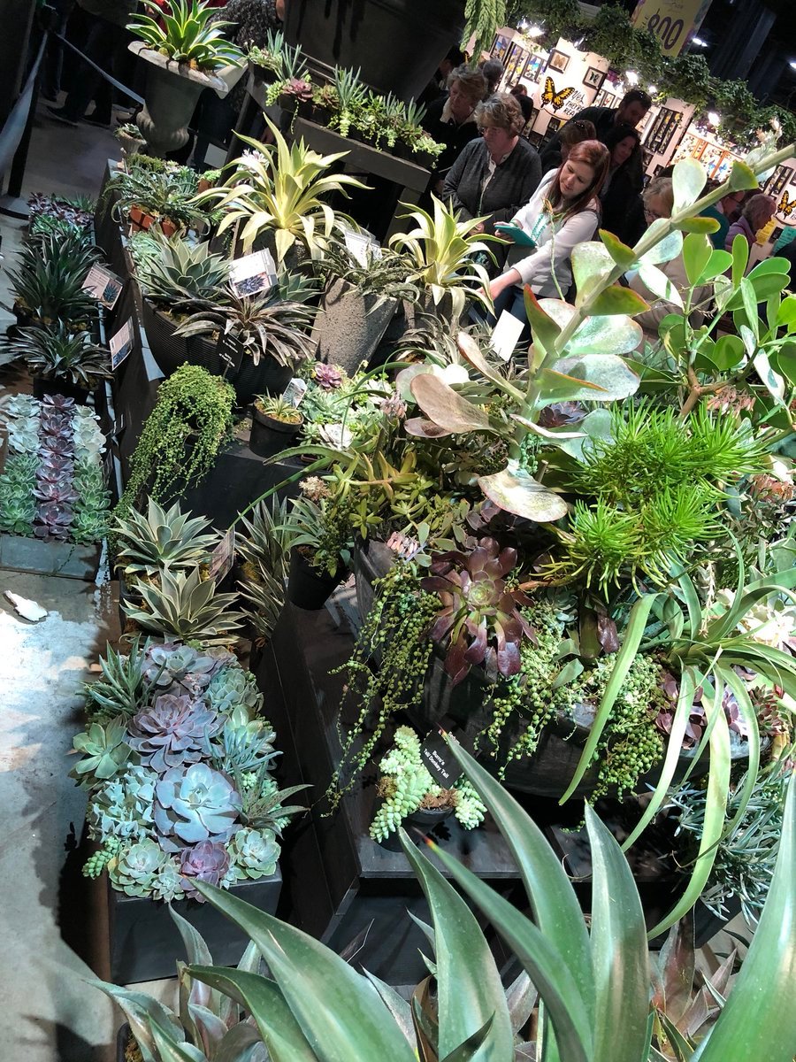 boston flower show (@bosflowershow) | twitter