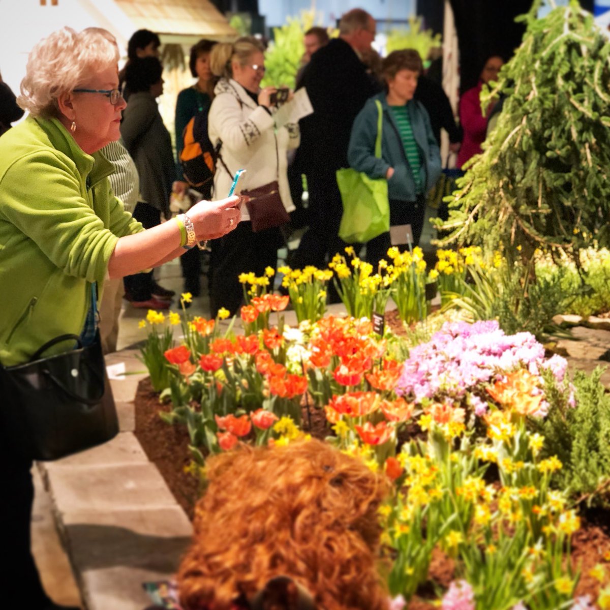 boston flower show (@bosflowershow) | twitter