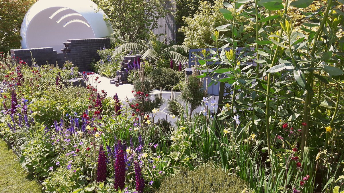 lee beel on twitter: "phone pic of cherub hiv garden at rhs chelsea