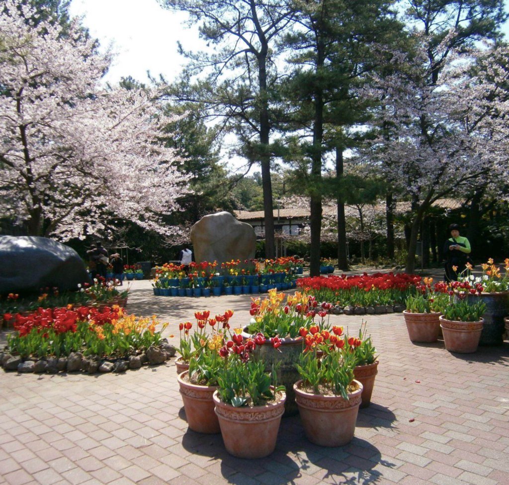master3languages on twitter: "beautiful botanic garden in jejudo