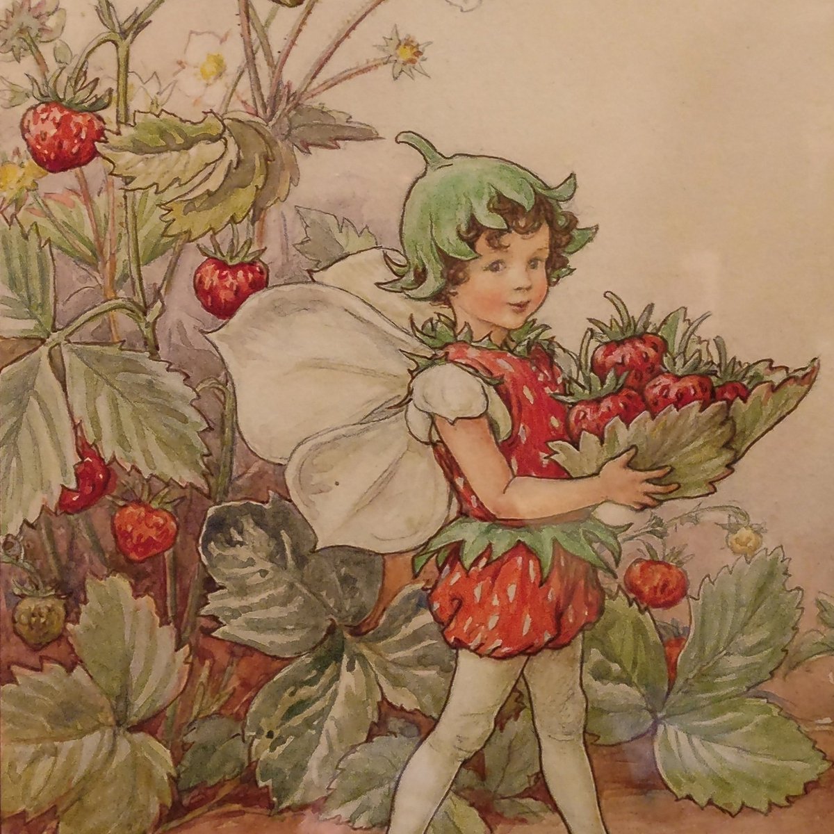 garden museum on twitter: "the strawberry fairy is helping us today