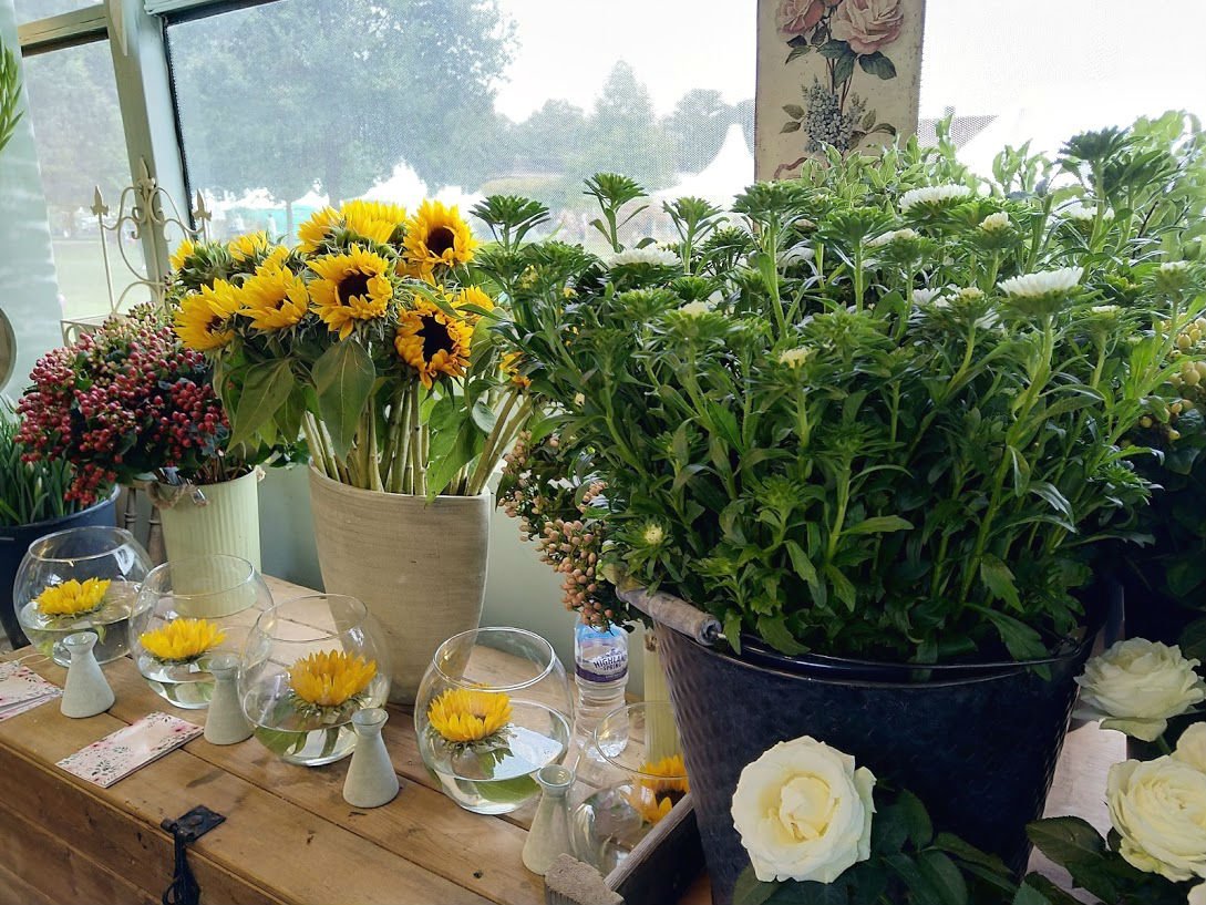 the rhs on twitter: "visit @jpmoseley's #britishflowerbus at the