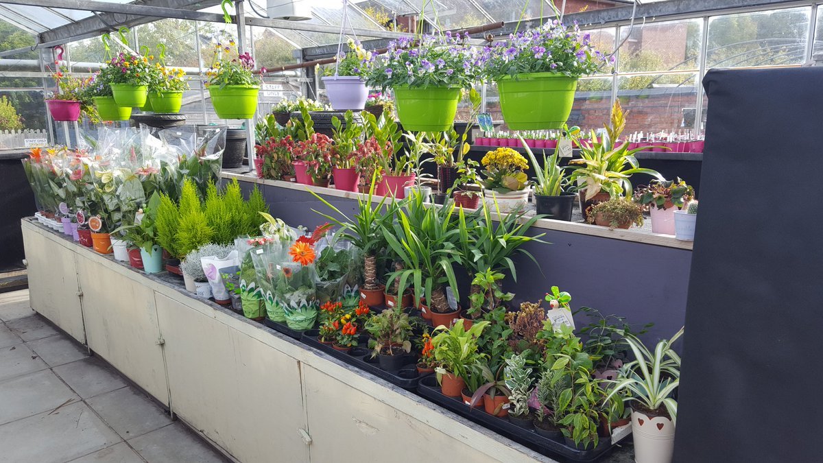 bromborough pool garden centre on twitter: "lots and lots of plants