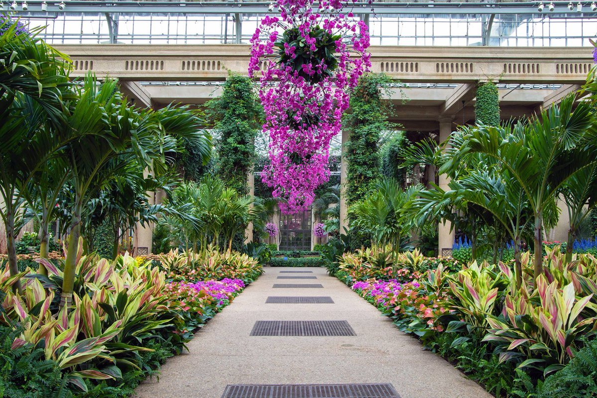 northwest flower & garden festival; feb 26-mar 1 (@nwfgs) | twitter