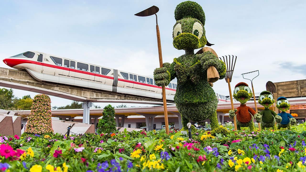 epcot international flower & garden festival diy: flower and