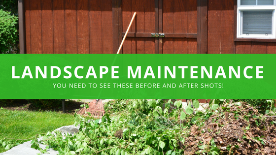you need to see the landscape transformation outside this