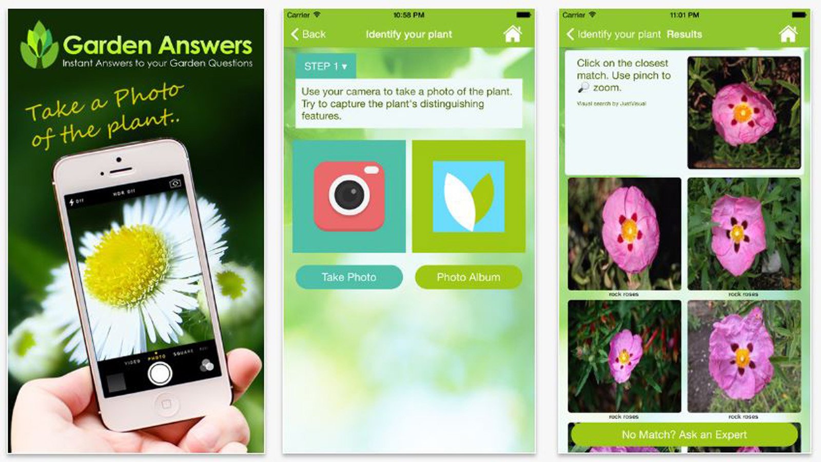 pflanzen bestimmen: 6 nützliche apps für naturliebhaber