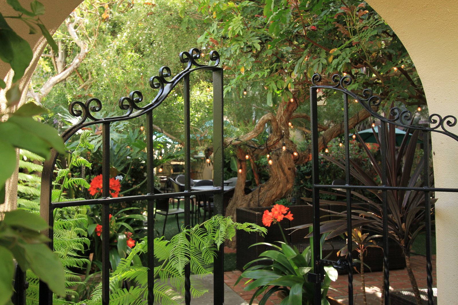 a san diego bed and breakfast | the bed & breakfast inn at la jolla