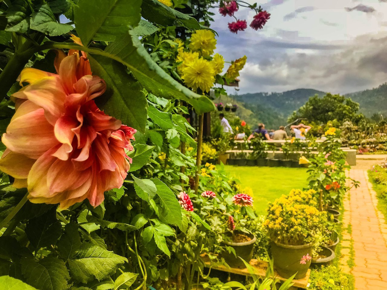 ella flower garden resort $69 ($̶7̶7̶) - prices & lodge reviews