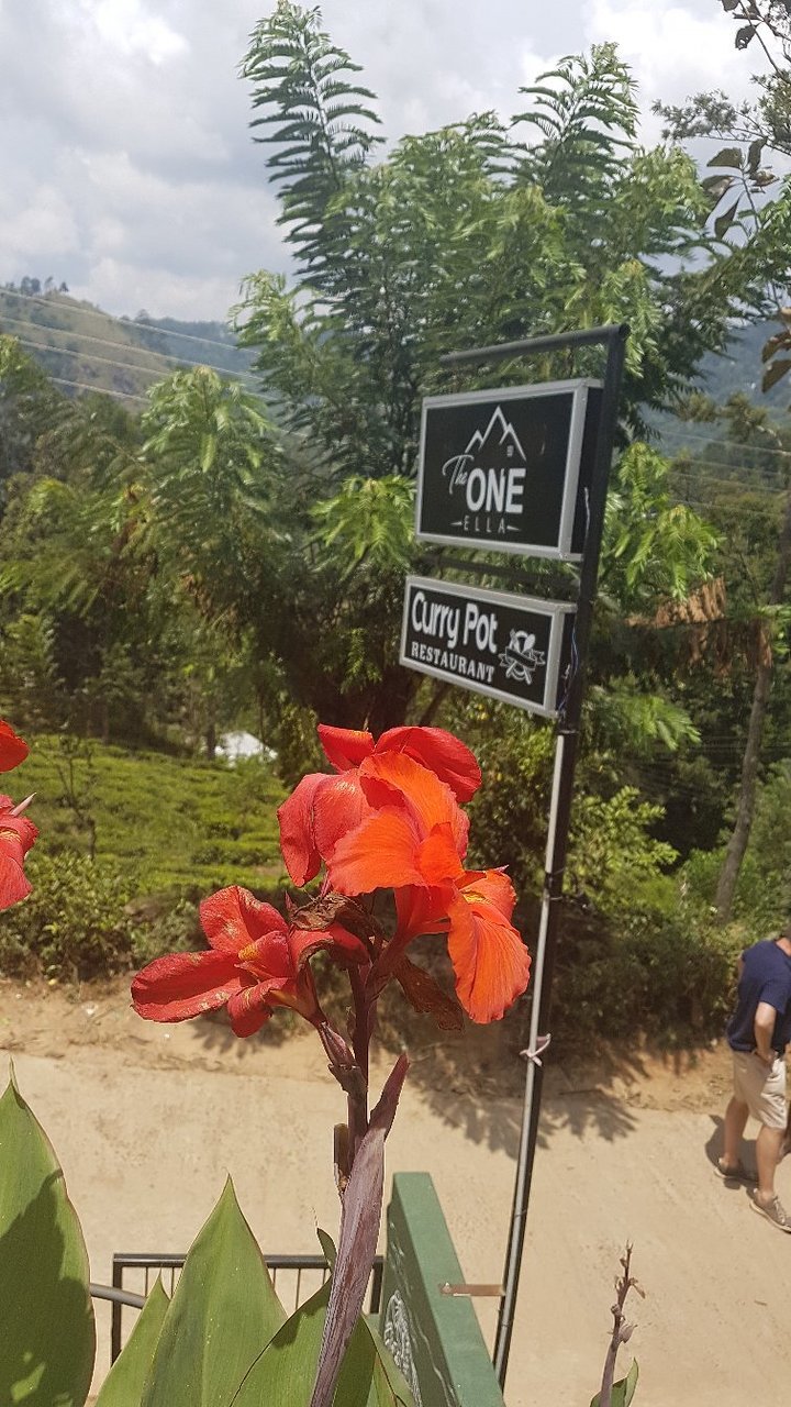 the one ella: bewertungen, fotos & preisvergleich (sri lanka