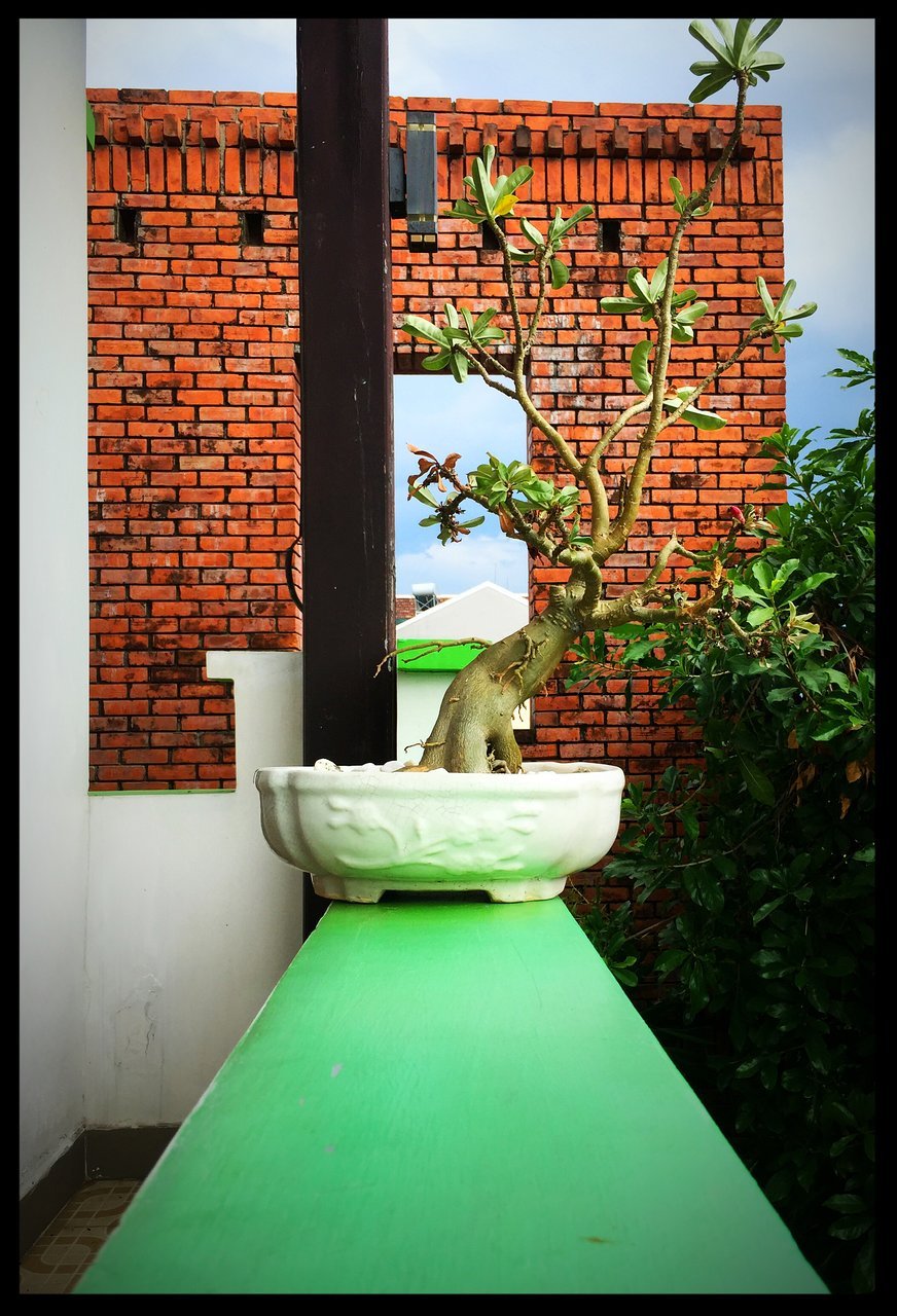 flower garden homestay - updated 2019 prices & guest house reviews