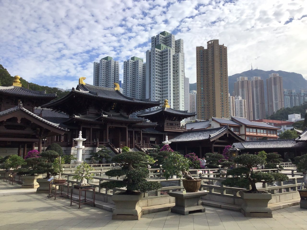 chi-lin-nonnenkloster (hongkong) - aktuelle 2019 - lohnt es