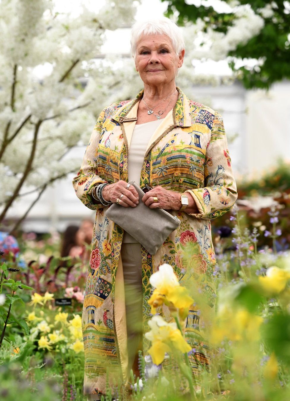 rhs chelsea flower show 2019: in pictures - bbc news