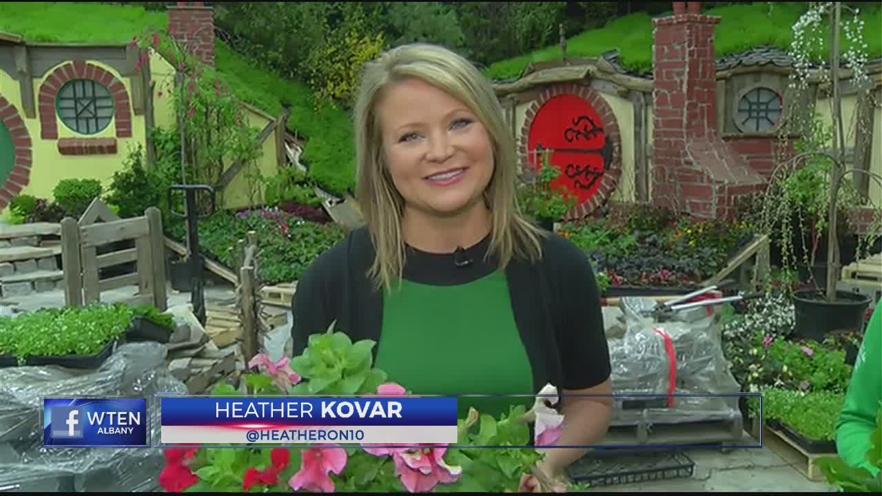 news10 abc's heather kovar gets a glimpse of the capital district