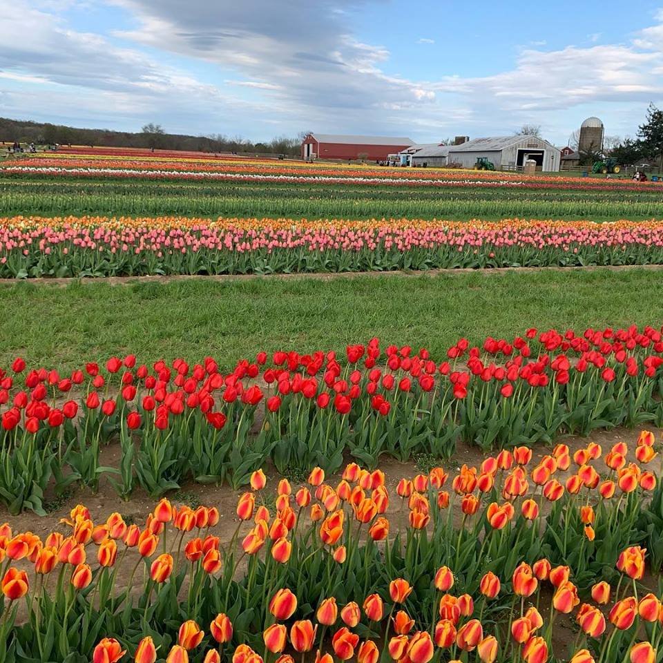 9 must-see gardens in nj - nj family