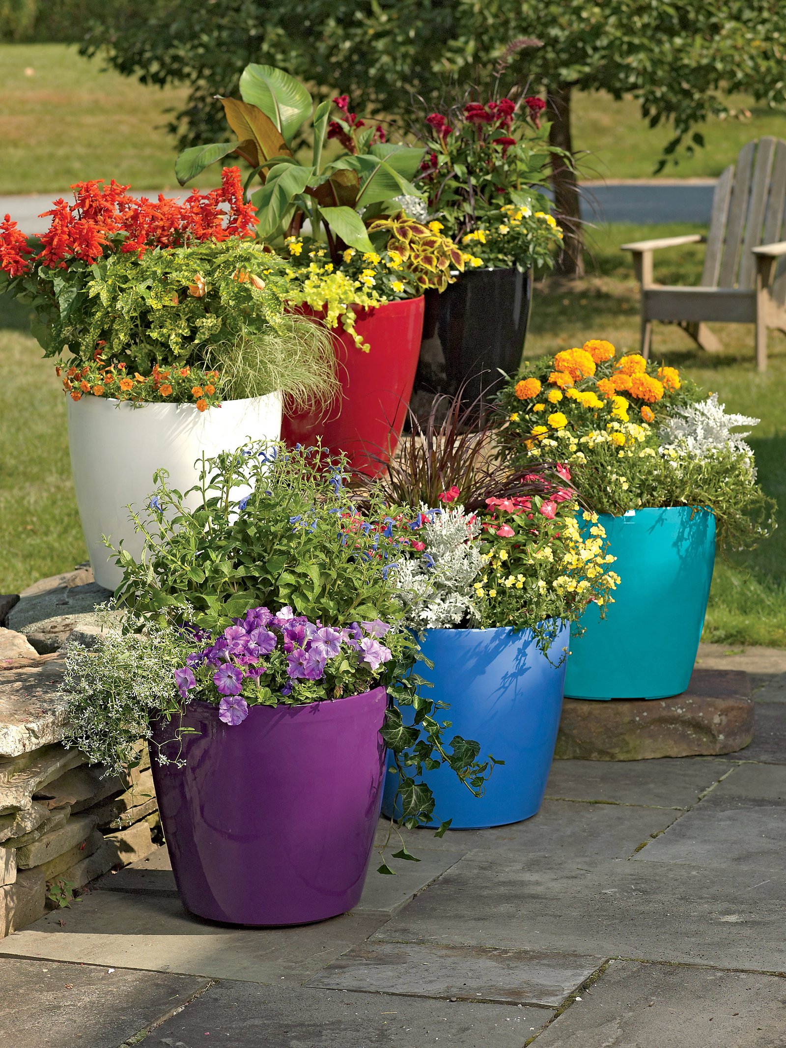 how to create sensational pots and planters | gardener's supply