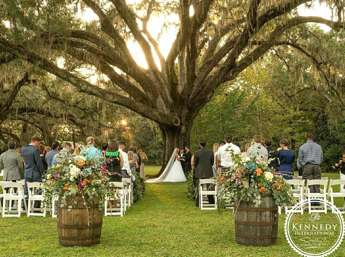 eden gardens state park, oak tree, fall wedding, outdoor wedding