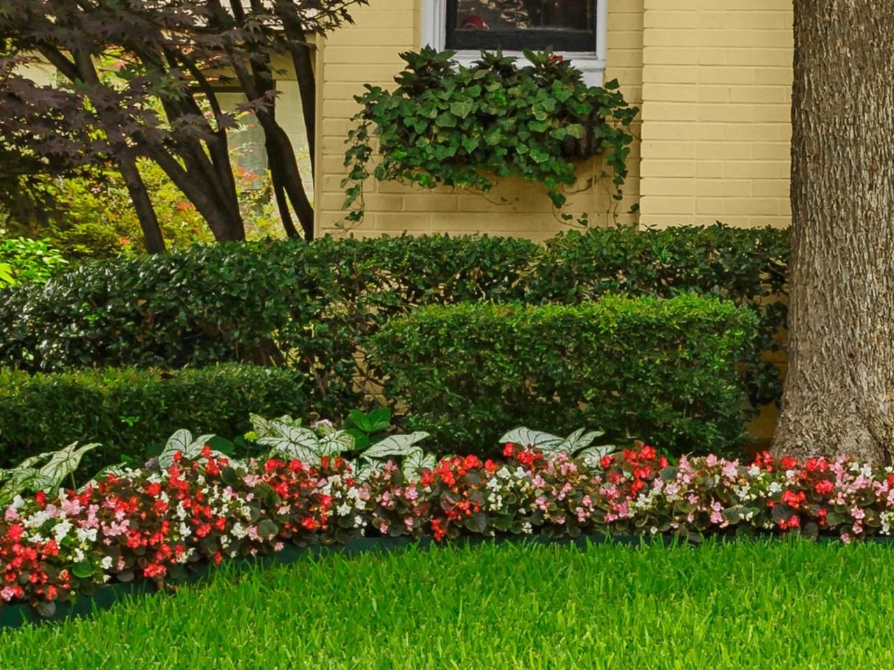 curb appeal ideas from dallas, tx. | houses and things i love