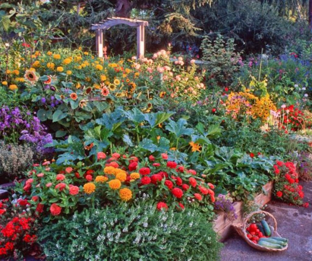 edible landscaping blog post from kg landscape | landscape features