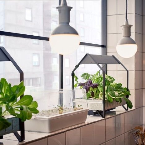 Ikea introduce a hydroponic indoor gardening kit | Indoor ...