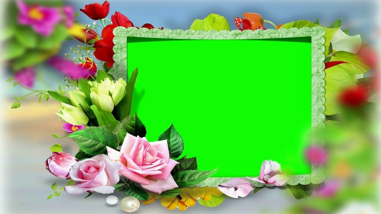 wedding video background green screen flower frame, chroma key video
