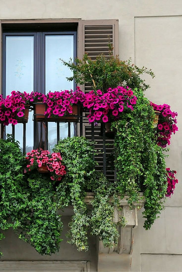 40 window and balcony flower box ideas (photos) | city green