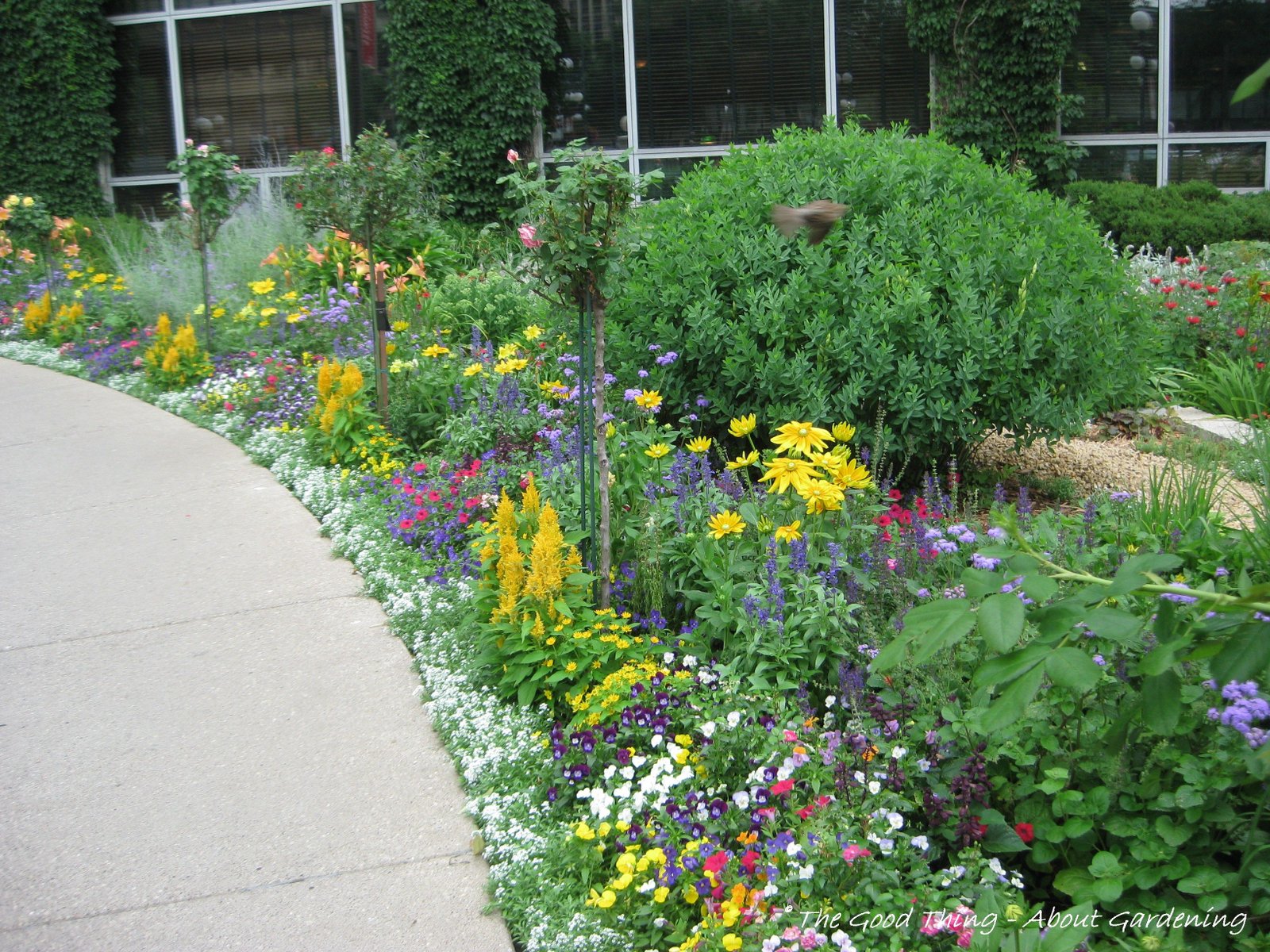 garden edging next to sidewalk | flower gardens include annuals to