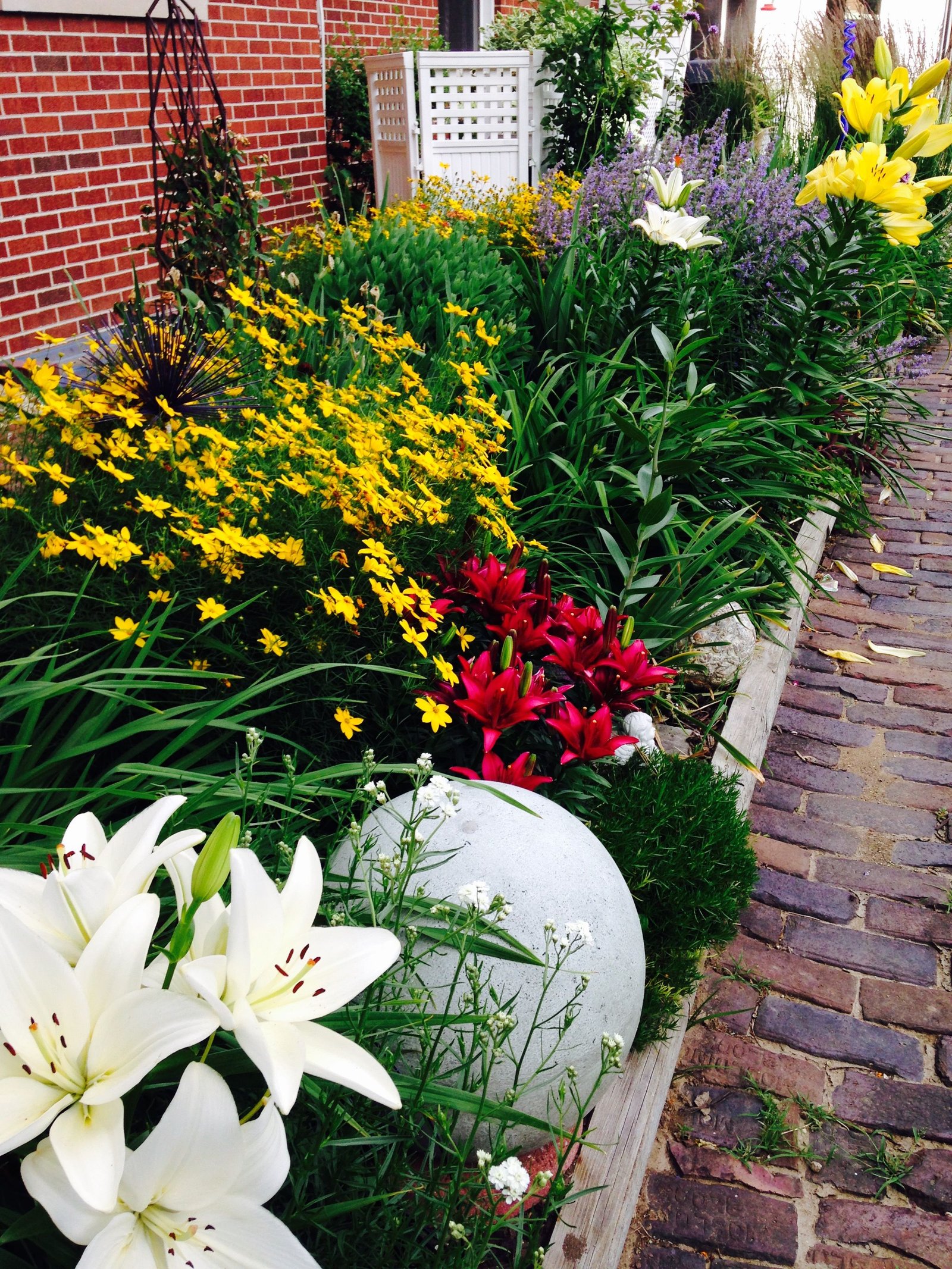 sun loving perennials on south side of house | garden---my illinois