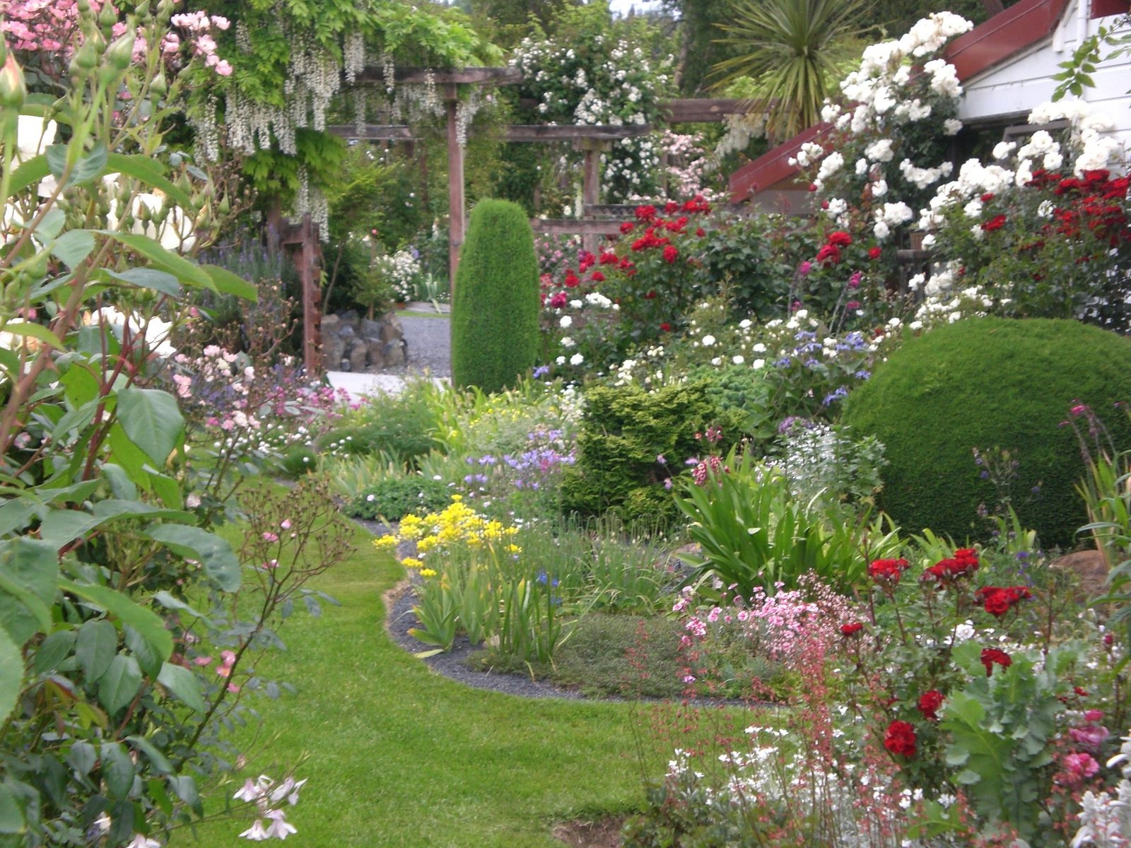 cottage garden with roses, perennials, conifers - love! | garden