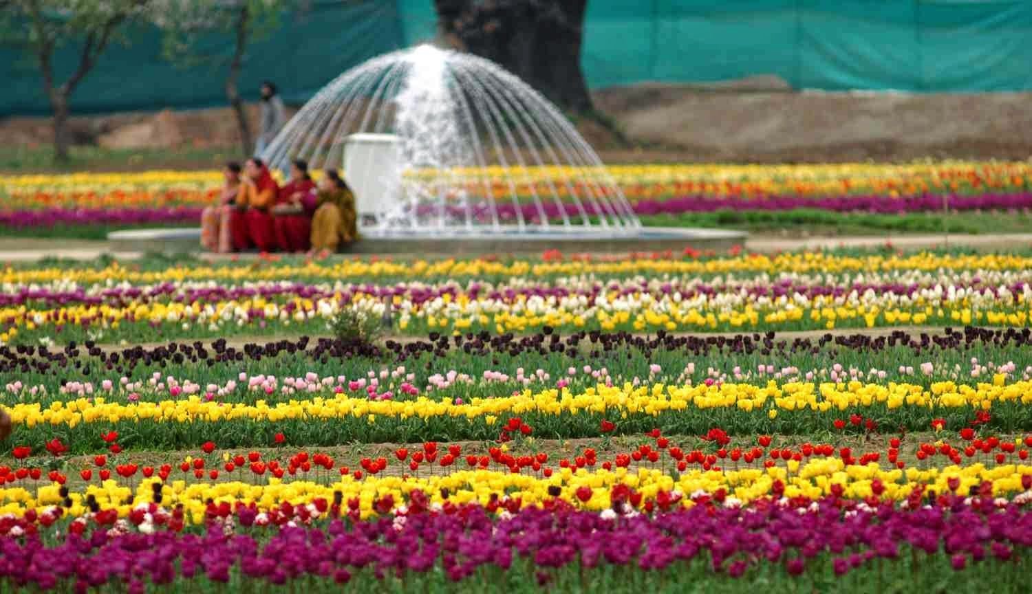 walk into the #mughal #gardens | a tour to my india | kashmir tour