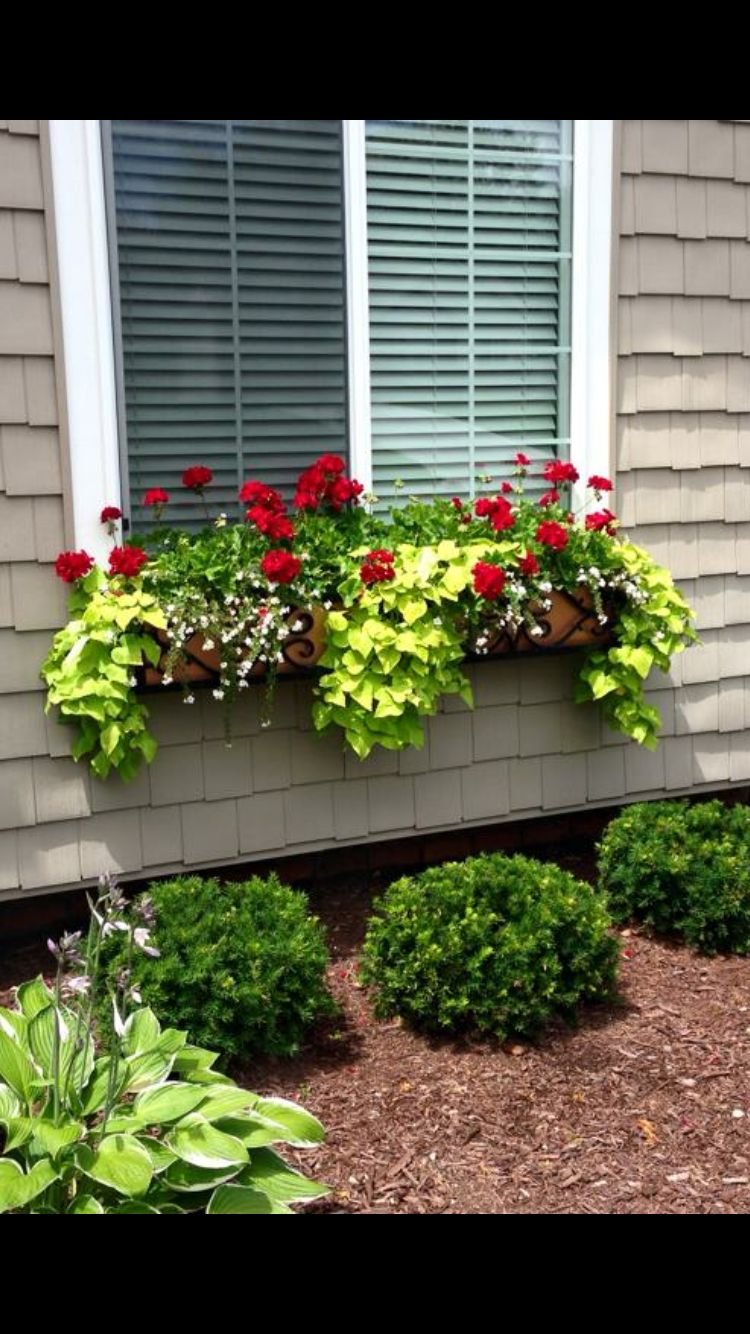 part sun part shade window box flowers | crafts | window box flowers
