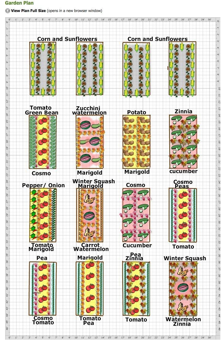 vegetable and cut flower garden plan | the naturally organic garden